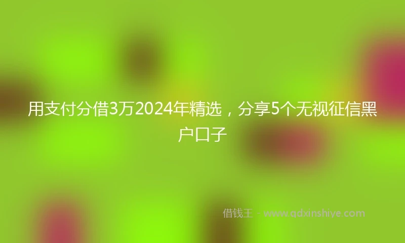 用支付分借3万2024年精选，分享5个无视征信黑户口子