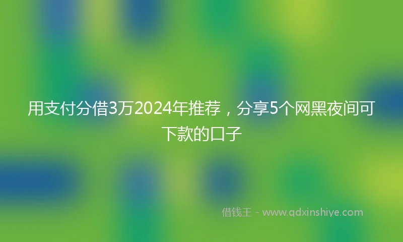 用支付分借3万2024年推荐，分享5个网黑夜间可下款的口子