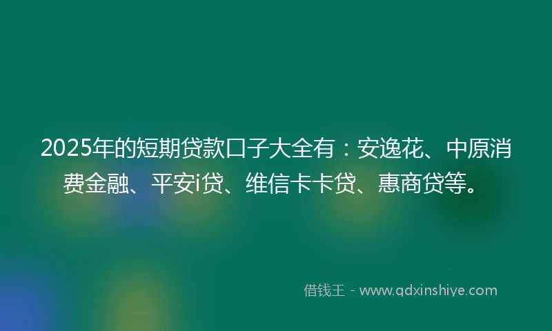 2025年的短期贷款口子大全有：安逸花、中原消费金融、平安i贷、维信卡卡贷、惠商贷等。