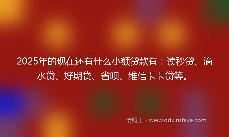 2025年的现在还有什么小额贷款有：读秒贷、滴水贷、好期贷、省呗、维信卡卡贷等。