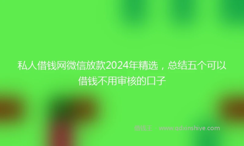 私人借钱网微信放款2024年精选，总结五个可以借钱不用审核的口子