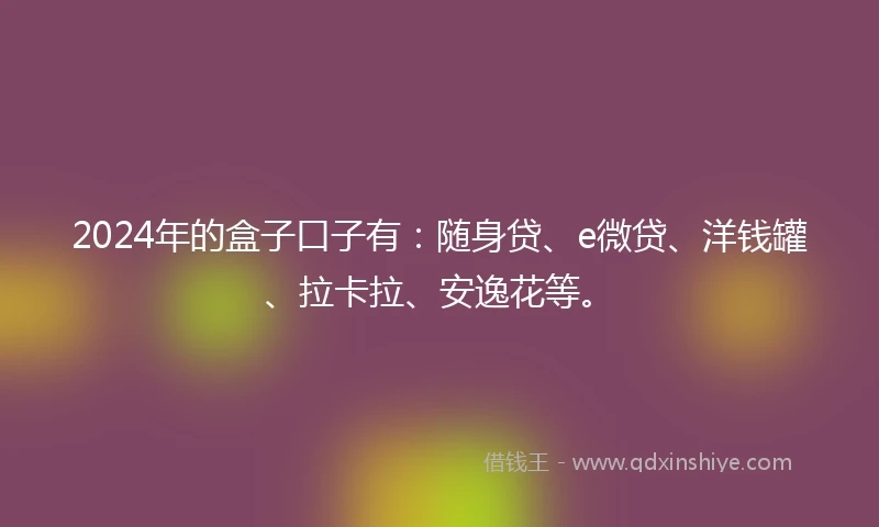 2024年的盒子口子有：随身贷、e微贷、洋钱罐、拉卡拉、安逸花等。