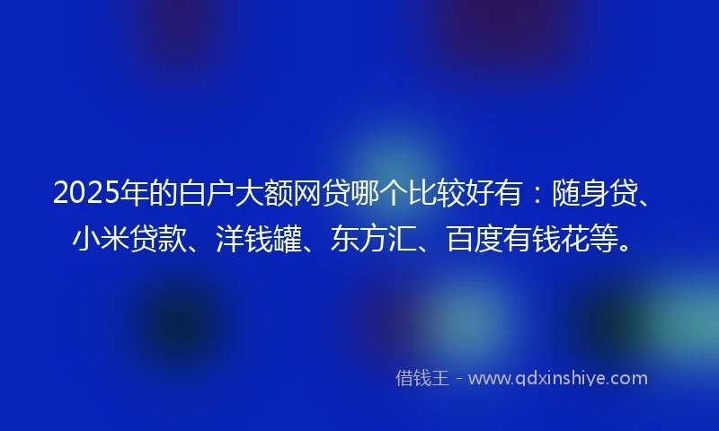 2025年的白户大额网贷哪个比较好有：随身贷、小米贷款、洋钱罐、东方汇、百度有钱花等。