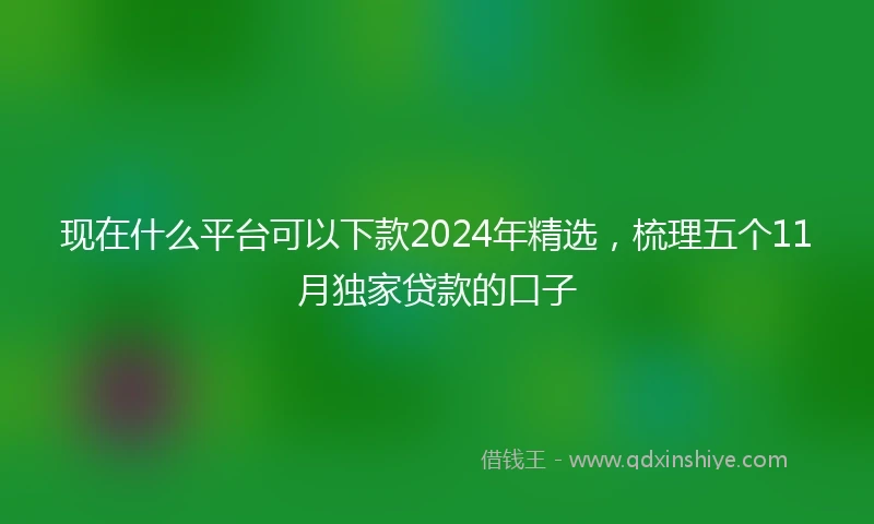现在什么平台可以下款2024年精选，梳理五个11月独家贷款的口子