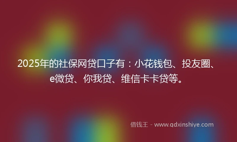 2025年的社保网贷口子有：小花钱包、投友圈、e微贷、你我贷、维信卡卡贷等。