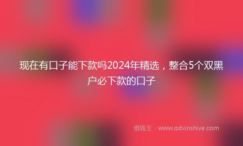 现在有口子能下款吗2024年精选，整合5个双黑户必下款的口子