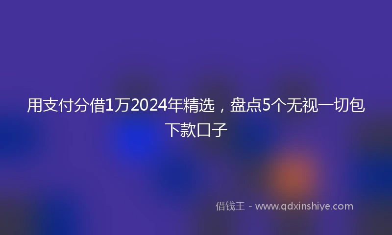 用支付分借1万2024年精选，盘点5个无视一切包下款口子