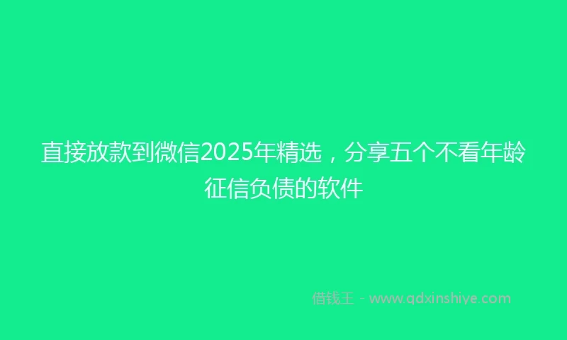 直接放款到微信2025年精选，分享五个不看年龄征信负债的软件