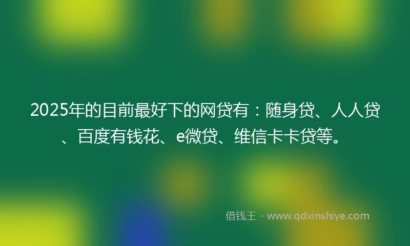 2025年的目前最好下的网贷有：随身贷、人人贷、百度有钱花、e微贷、维信卡卡贷等。