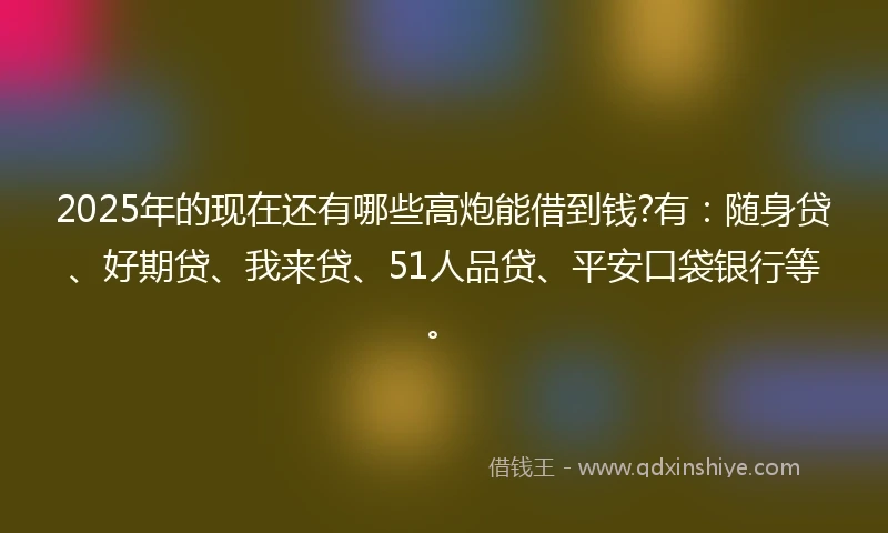 2025年的现在还有哪些高炮能借到钱?有：随身贷、好期贷、我来贷、51人品贷、平安口袋银行等。