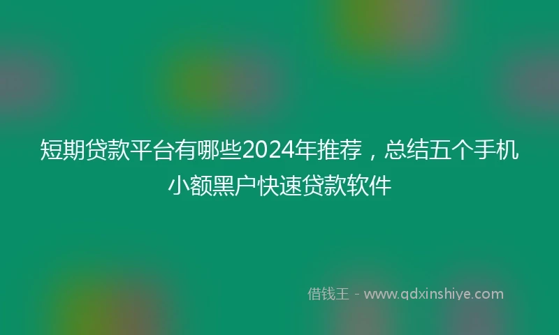短期贷款平台有哪些2024年推荐，总结五个手机小额黑户快速贷款软件