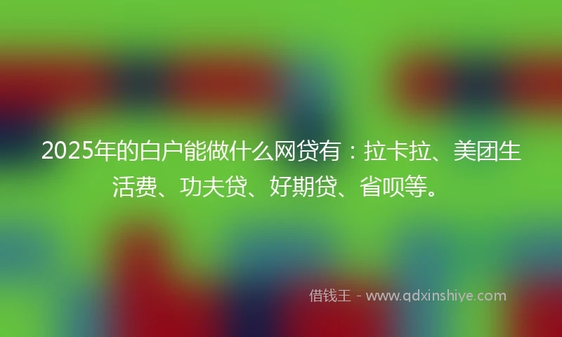 2025年的白户能做什么网贷有：拉卡拉、美团生活费、功夫贷、好期贷、省呗等。