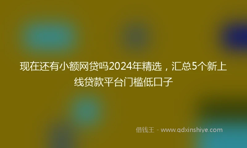 现在还有小额网贷吗2024年精选，汇总5个新上线贷款平台门槛低口子