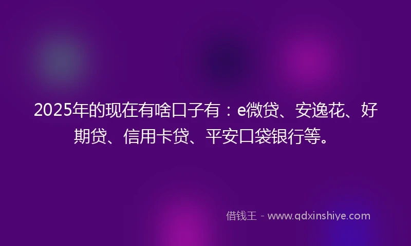 2025年的现在有啥口子有：e微贷、安逸花、好期贷、信用卡贷、平安口袋银行等。