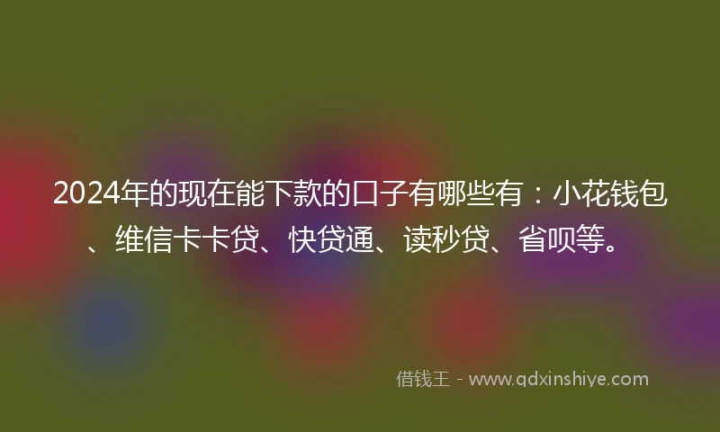 2024年的现在能下款的口子有哪些有：小花钱包、维信卡卡贷、快贷通、读秒贷、省呗等。