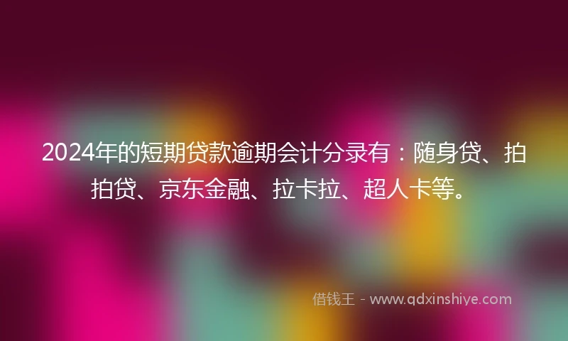 2024年的短期贷款逾期会计分录有：随身贷、拍拍贷、京东金融、拉卡拉、超人卡等。