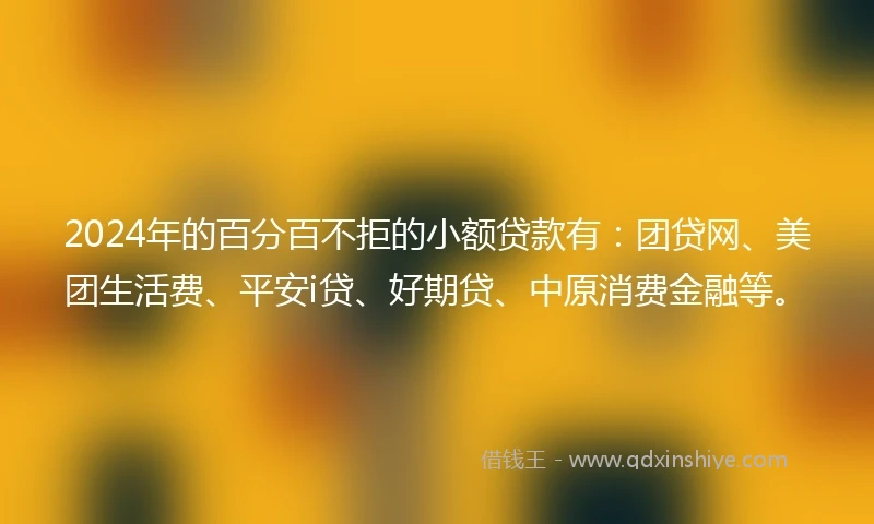 2024年的百分百不拒的小额贷款有：团贷网、美团生活费、平安i贷、好期贷、中原消费金融等。
