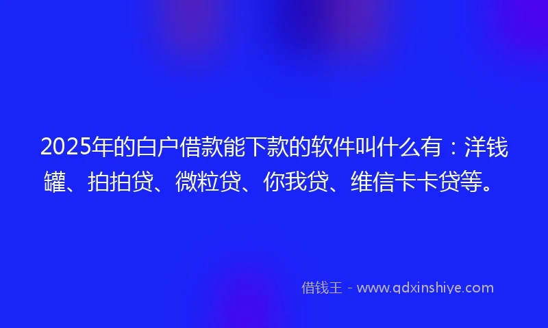 2025年的白户借款能下款的软件叫什么有：洋钱罐、拍拍贷、微粒贷、你我贷、维信卡卡贷等。