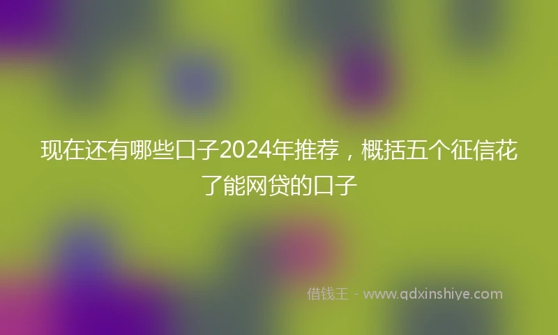 现在还有哪些口子2024年推荐，概括五个征信花了能网贷的口子