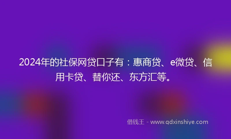2024年的社保网贷口子有：惠商贷、e微贷、信用卡贷、替你还、东方汇等。