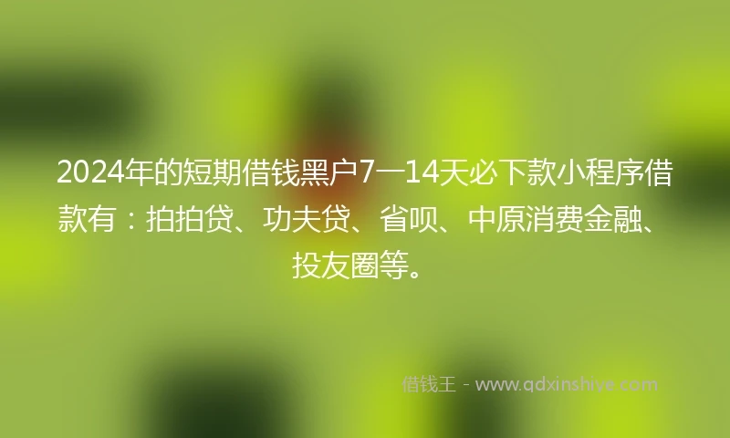 2024年的短期借钱黑户7一14天必下款小程序借款有：拍拍贷、功夫贷、省呗、中原消费金融、投友圈等。