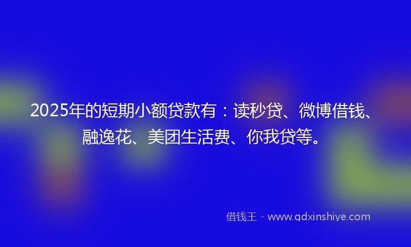2025年的短期小额贷款有：读秒贷、微博借钱、融逸花、美团生活费、你我贷等。