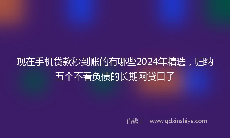 现在手机贷款秒到账的有哪些2024年精选，归纳五个不看负债的长期网贷口子