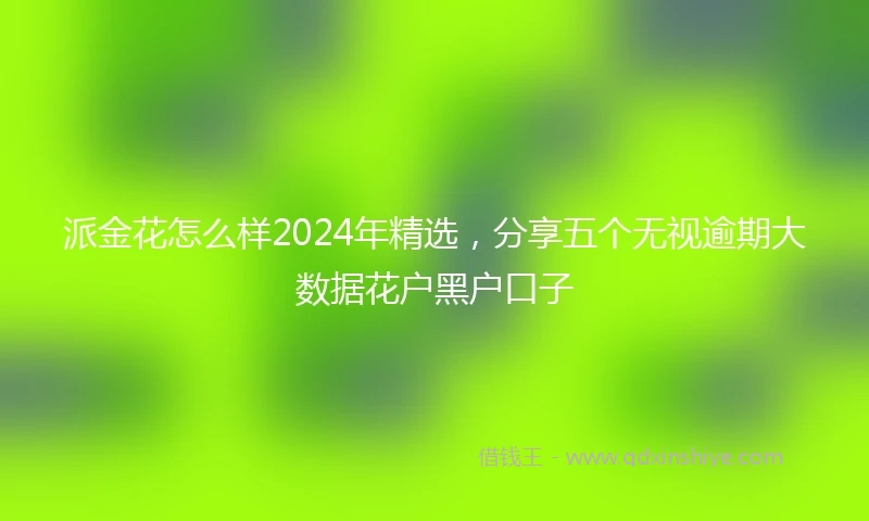 派金花怎么样2024年精选，分享五个无视逾期大数据花户黑户口子