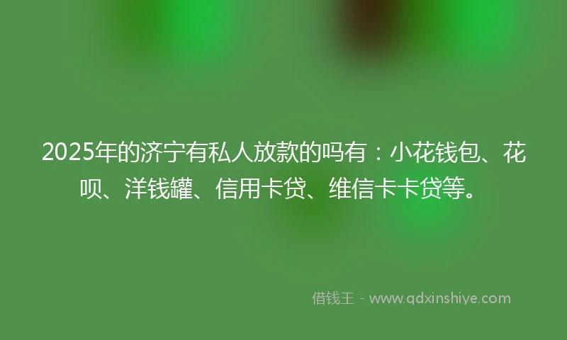 2025年的济宁有私人放款的吗有：小花钱包、花呗、洋钱罐、信用卡贷、维信卡卡贷等。