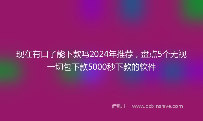 现在有口子能下款吗2024年推荐，盘点5个无视一切包下款5000秒下款的软件
