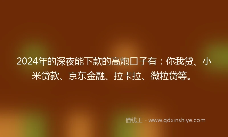 2024年的深夜能下款的高炮口子有：你我贷、小米贷款、京东金融、拉卡拉、微粒贷等。
