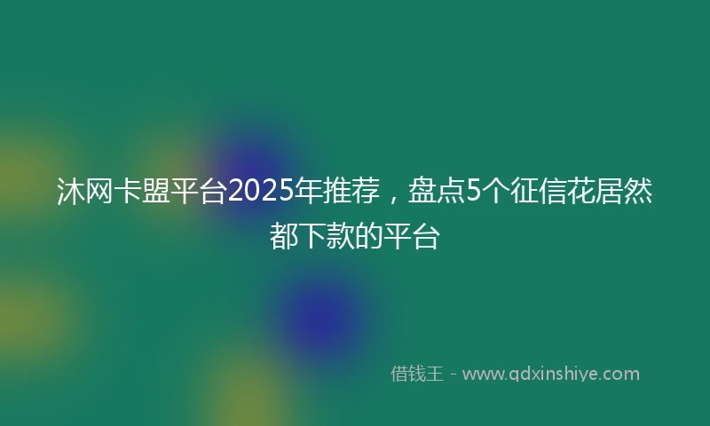 沐网卡盟平台2025年推荐，盘点5个征信花居然都下款的平台