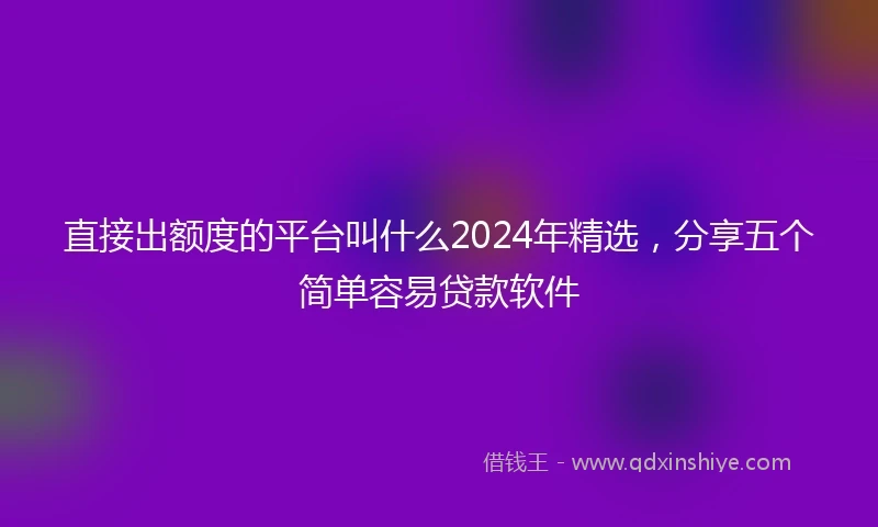 直接出额度的平台叫什么2024年精选，分享五个简单容易贷款软件