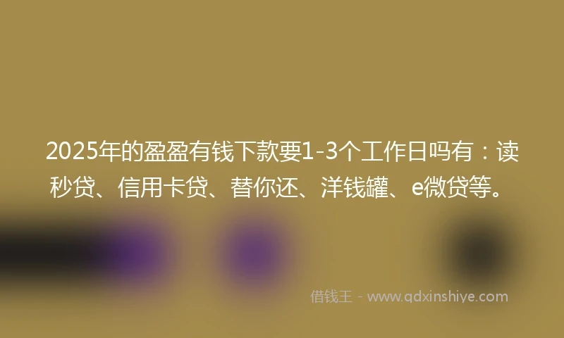2025年的盈盈有钱下款要1-3个工作日吗有：读秒贷、信用卡贷、替你还、洋钱罐、e微贷等。