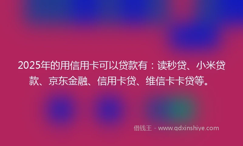 2025年的用信用卡可以贷款有：读秒贷、小米贷款、京东金融、信用卡贷、维信卡卡贷等。