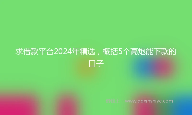 求借款平台2024年精选，概括5个高炮能下款的口子