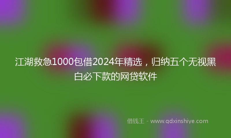 江湖救急1000包借2024年精选，归纳五个无视黑白必下款的网贷软件
