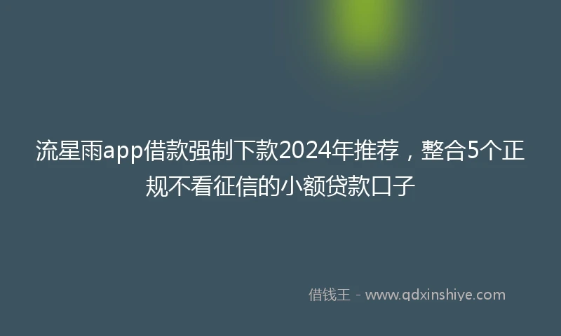 流星雨app借款强制下款2024年推荐，整合5个正规不看征信的小额贷款口子