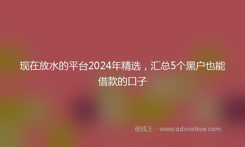现在放水的平台2024年精选，汇总5个黑户也能借款的口子