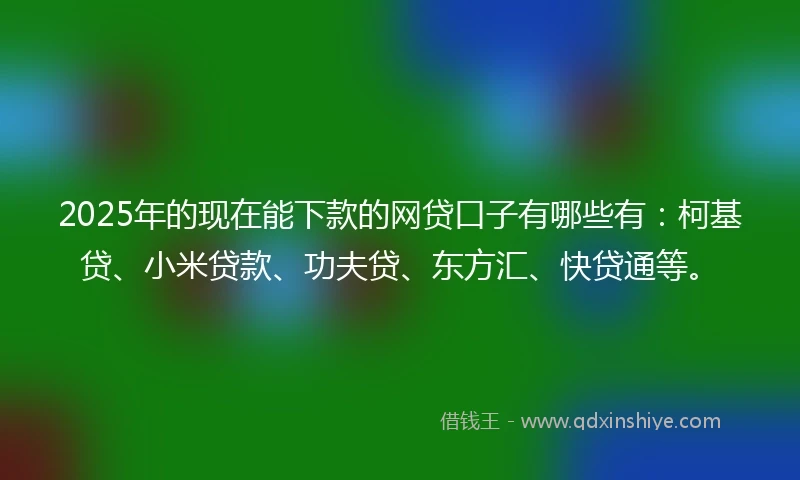 2025年的现在能下款的网贷口子有哪些有：柯基贷、小米贷款、功夫贷、东方汇、快贷通等。