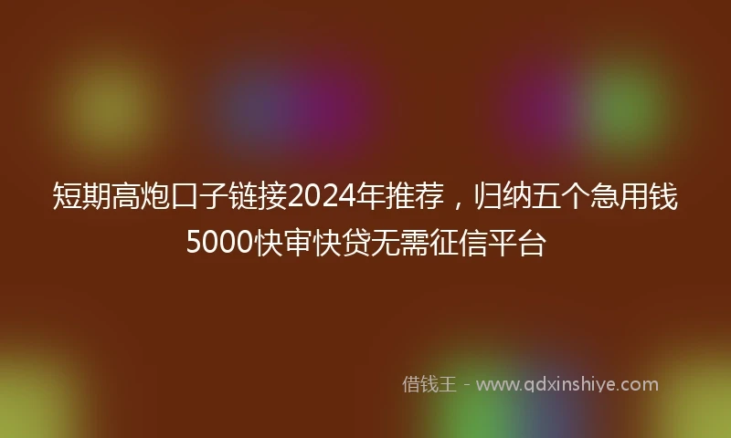 短期高炮口子链接2024年推荐，归纳五个急用钱5000快审快贷无需征信平台