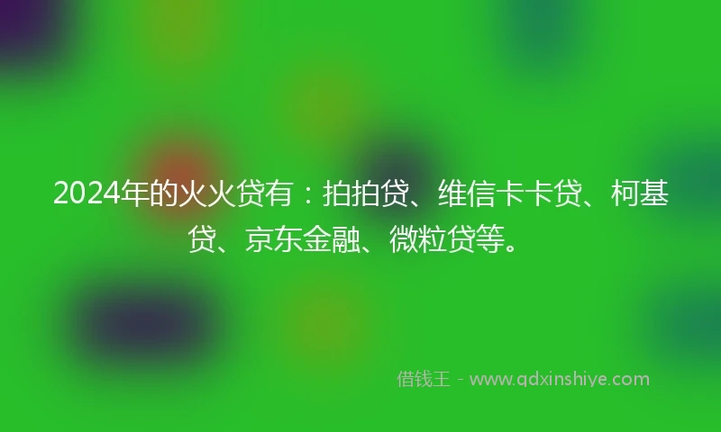 2024年的火火贷有：拍拍贷、维信卡卡贷、柯基贷、京东金融、微粒贷等。