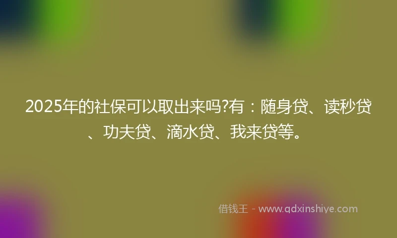 2025年的社保可以取出来吗?有:随身贷、读秒贷、功夫贷、滴水贷、我来贷等。