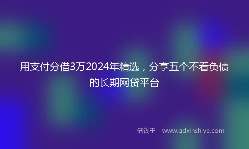 用支付分借3万2024年精选,分享五个不看负债的长期网贷平台