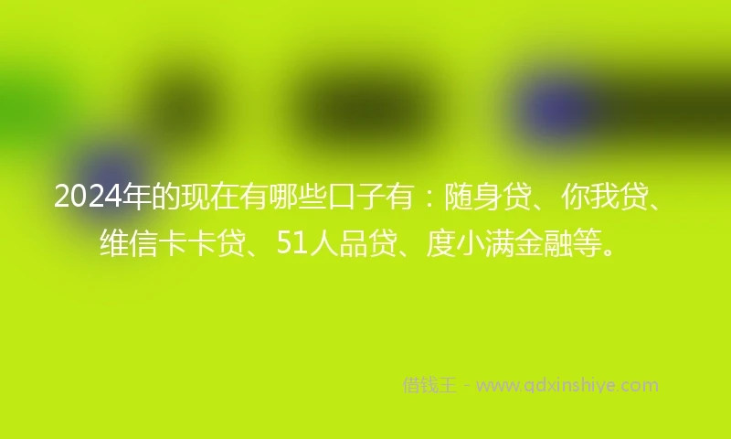 2024年的现在有哪些口子有：随身贷、你我贷、维信卡卡贷、51人品贷、度小满金融等。