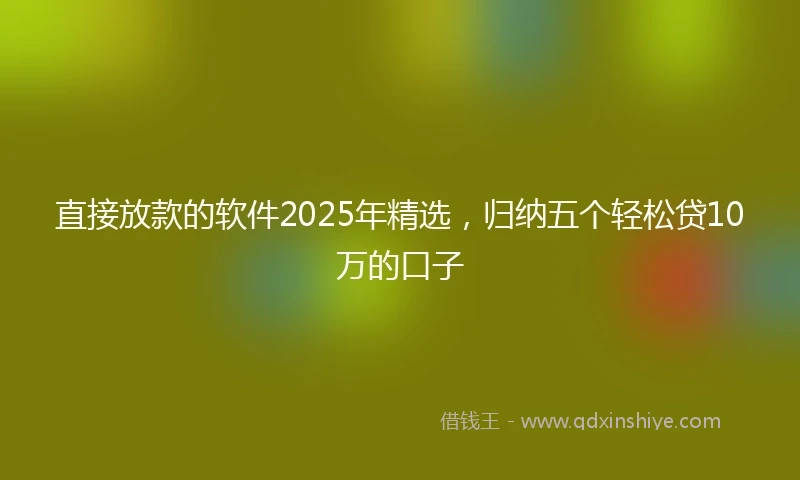 直接放款的软件2025年精选，归纳五个轻松贷10万的口子