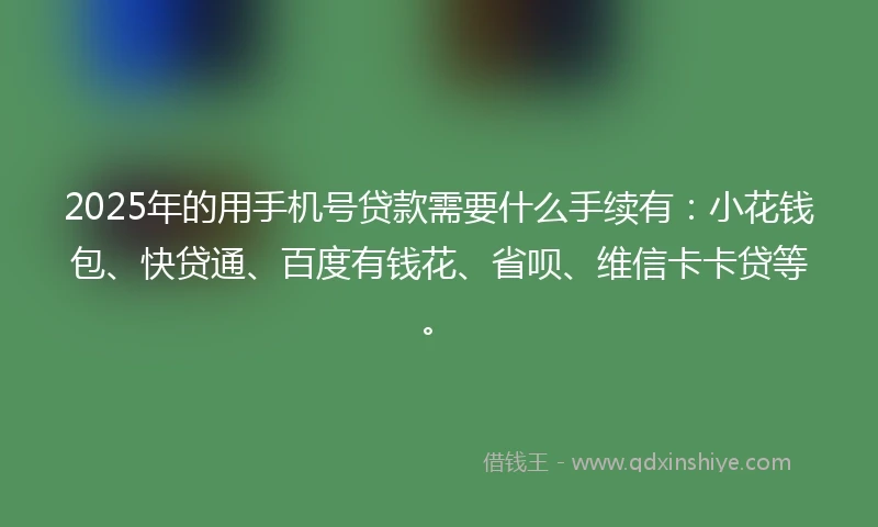 2025年的用手机号贷款需要什么手续有：小花钱包、快贷通、百度有钱花、省呗、维信卡卡贷等。