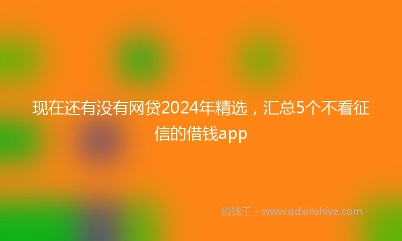 现在还有没有网贷2024年精选，汇总5个不看征信的借钱app