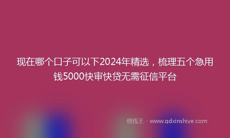 现在哪个口子可以下2024年精选，梳理五个急用钱5000快审快贷无需征信平台