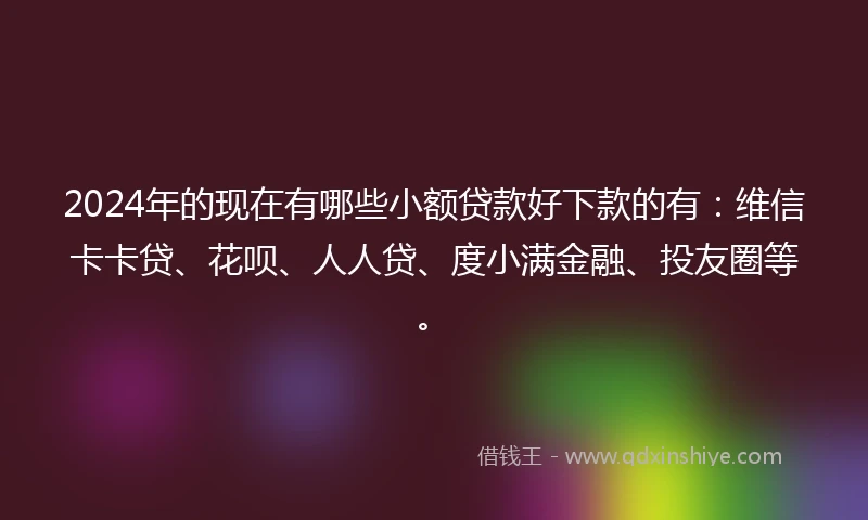 2024年的现在有哪些小额贷款好下款的有：维信卡卡贷、花呗、人人贷、度小满金融、投友圈等。